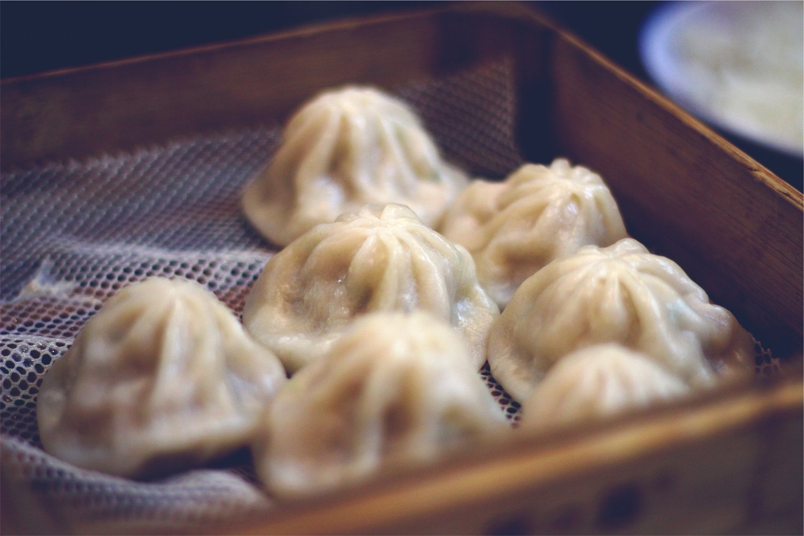 Ravioleria Esquilino